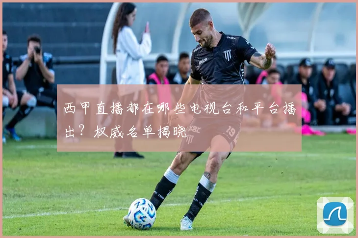 西甲直播都在哪些电视台和平台播出？权威名单揭晓