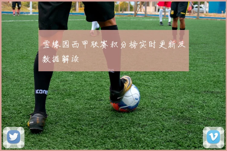 雪缘园西甲联赛积分榜实时更新及数据解读
