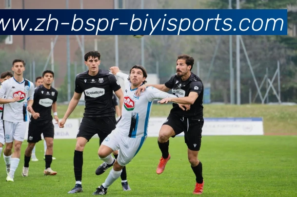 帕尔马足球俱乐部在意甲联赛中的表现分析